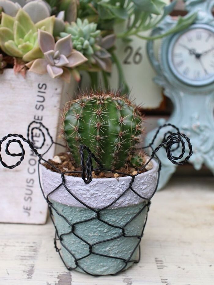 もちろん植物を飾っても可愛い!