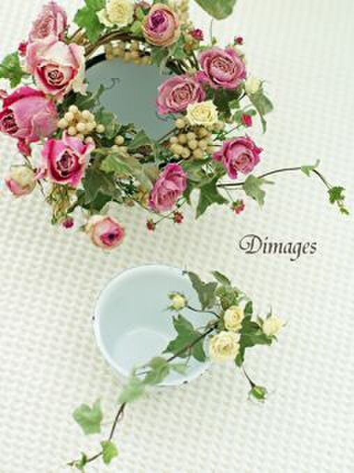 上からのツーショット♪