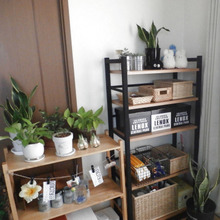 フレームを塗り替えただけ!シェルフを男前に大変身!(^^)!