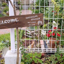 手作りガーデンピック♪端材にステンシルでお気に入りを作っちゃお!