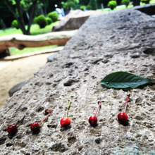 キャンプで!BBQで紙コップを焼くと…燃える?燃えない?