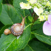 雨の日に子どもとどう過ごす?