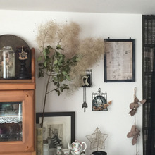 存在感抜群★スモークツリーのドライで、しっとり大人なコーナー作り