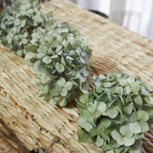 紫陽花をキレイにドライフラワーにするコツ♪