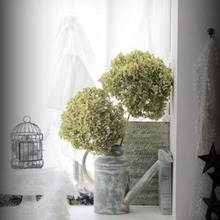 100円ショップアイテムで♪小さな雑貨✖️植物のドライ