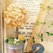 メラミンスポンジの土台で、紫陽花のドライフラワーTREE♪