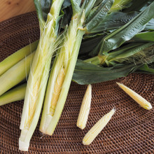 子供の「嫌い」を作らない心掛け、食べ物も虫も同じ?