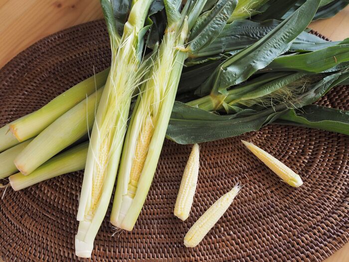 子供の「嫌い」を作らない心掛け、食べ物も虫も同じ?
