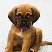 聞き上手は話し上手