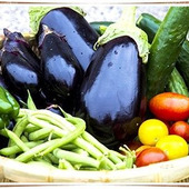 夏野菜の魅力!○○と○○を組み合わせると美味しくなる!?
