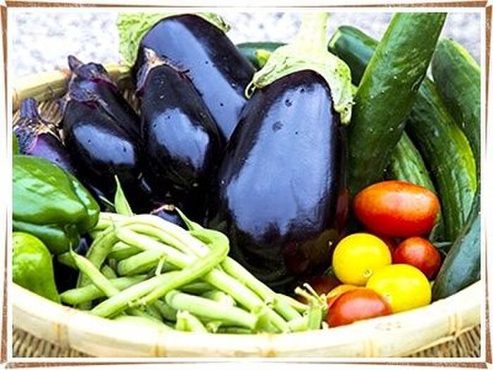 夏野菜の魅力!○○と○○を組み合わせると美味しくなる!?