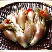 ミョウガを使ったさっぱり料理はいかが?
