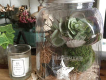 特集 ステキなアイデアを暮らしニスタ編集部でまとめさせて頂きました。