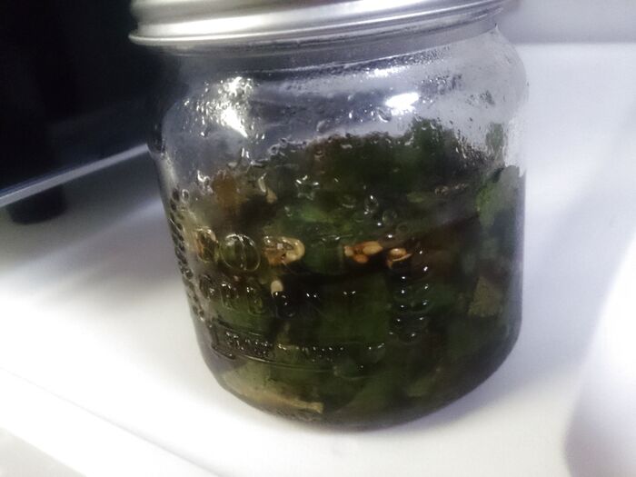 話題の"シソ"で最強の調味料を作る!