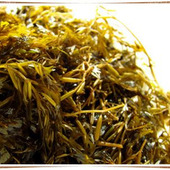 ダイエットにも◎。潤い肌を維持するには「海藻類」が良い!?