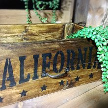 キャベツBOXを100均商品で