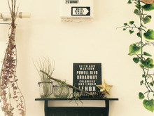 特集 ステキなアイデアを暮らしニスタ編集部でまとめさせて頂きました。