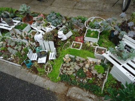 マンションの一角の花壇です
