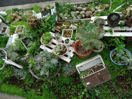 みんなに見てもらえる花壇を作りました