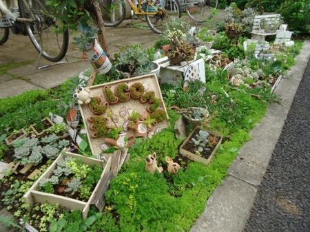 花壇全体です