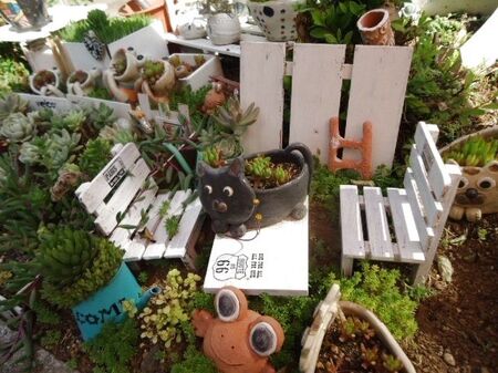 日当たりの悪い北西の花壇
