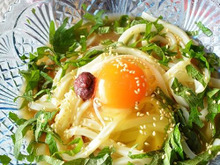 冷凍うどんをレンジでチーン!主婦のまかないうどん