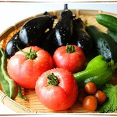 夏バテに効く、旬の夏野菜は?