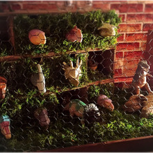 100均木箱でジュラシックパーク