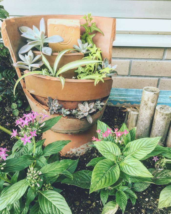 割れた植木鉢を素敵にアレンジ