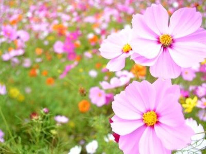 【9月の肌占い】お肌のタイプと血液型から占います!