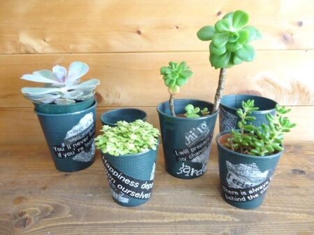 多肉植物を入れて完成!