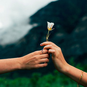 アナタにもできる! ワンクリックで広がる寄附の輪