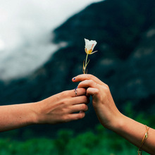 アナタにもできる! ワンクリックで広がる寄附の輪