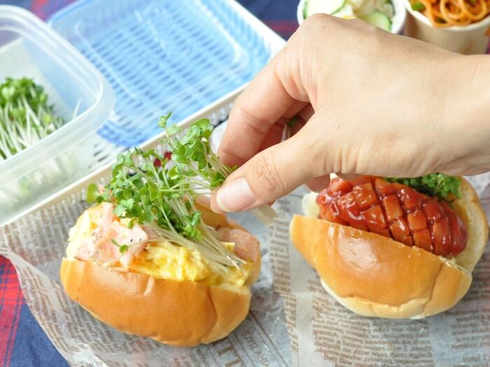 秋の行楽弁当に! スプラウトの ”あとのせ” シャキシャキ! ロールパンサンド