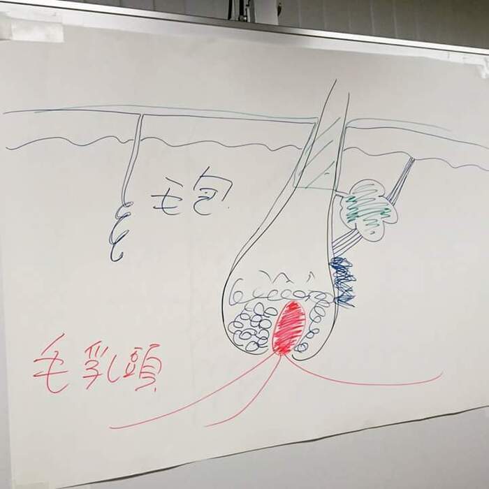 髪の栄養は血液!!