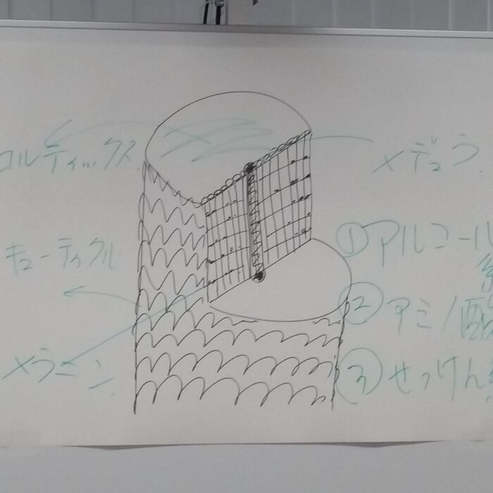髪の毛について学ぶ!