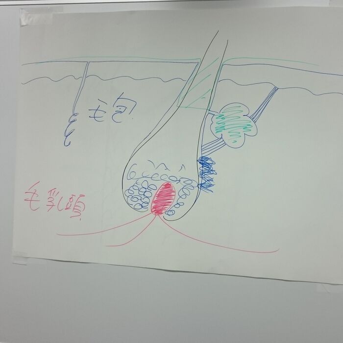 血の質&血流UPで元気な髪の毛に!
