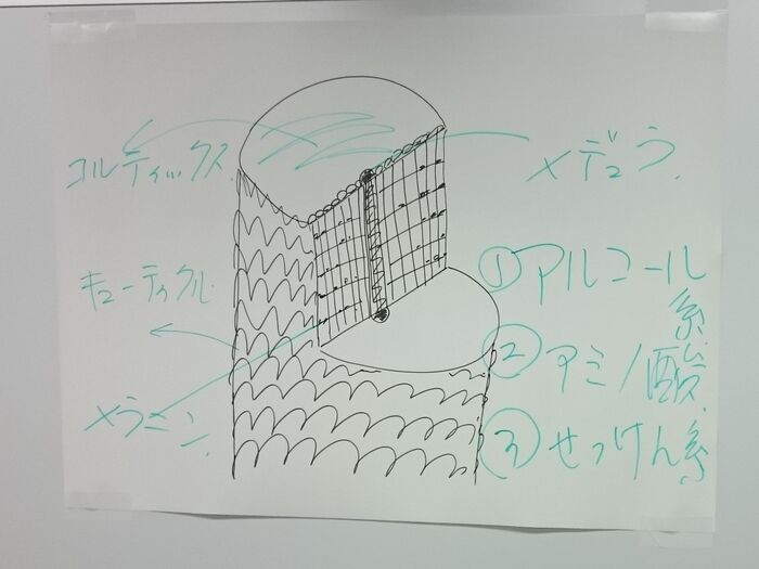 健康な髪の毛とは・・・