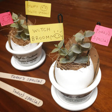 卵の殻を100均素材で可愛くアレンジ