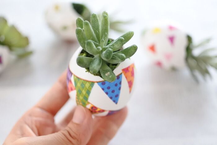 ⑥モスをつめた上から⑤のピックを差し込みます