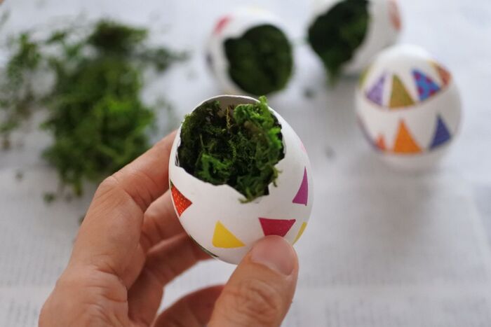 ④乾いた卵の殻にモスをつめます