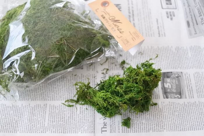 次にダイソーのグリーンモスを使って…