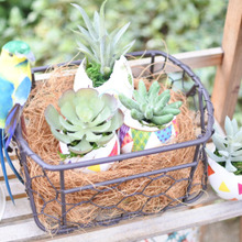 100均フェイク多肉をお部屋に飾れる♪鳥の巣風アレンジ