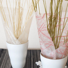 リメイクレシピ!焼くだけでパリパリ食感!そばスティック!