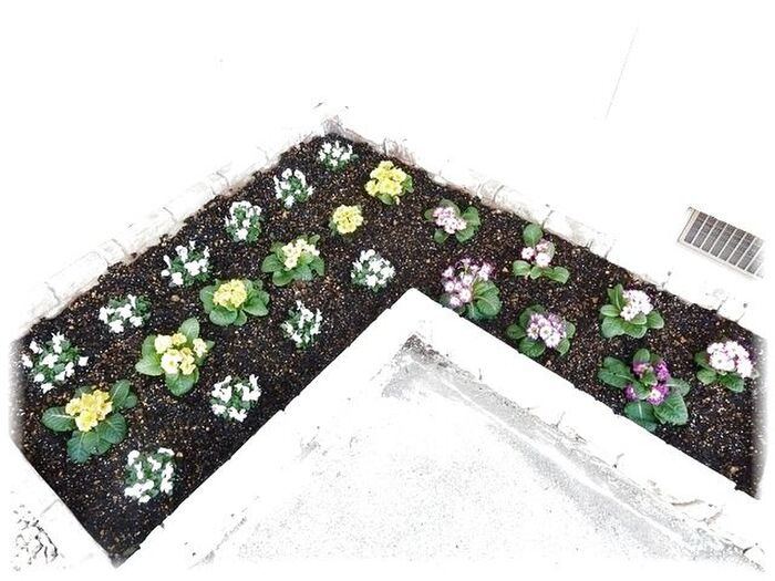 組み合わせが出来る花壇材で~