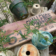 【リメイク】目指すは足場板!杉板を古材風リメイク