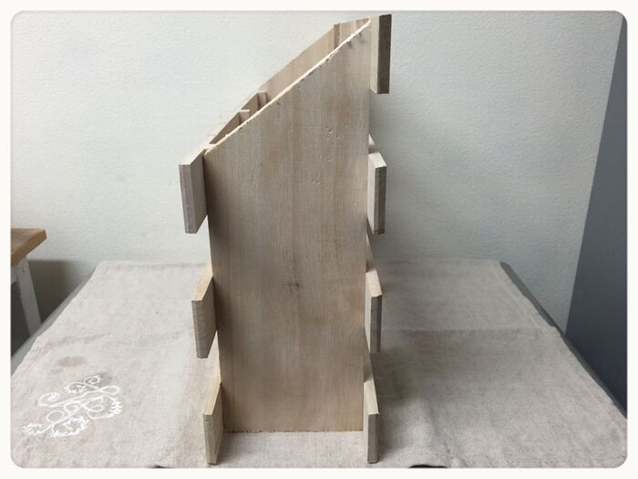 横から見たところ