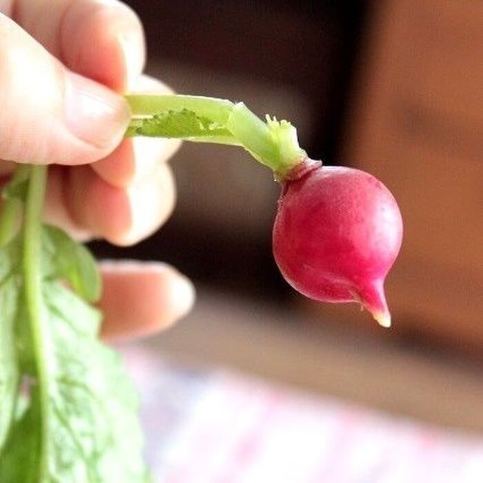 ヘルシーポイント