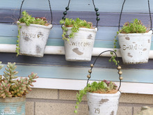 100均リメイク*多肉植物がよく似合うグリーンポット