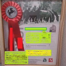 100均の額リメイクで「思い出も一緒に閉じ込めて」飾っちゃお!